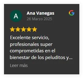 Img-Fans-de-Pelos-Review-Card-3 Img-Fans-de-Pelos-Review-Card-3
