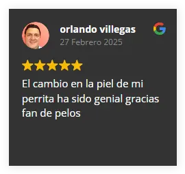 Img-Fans-de-Pelos-Review-Card-6 Img-Fans-de-Pelos-Review-Card-6