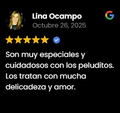 Img-Fans-de-Pelos-Review-Card-2025-2