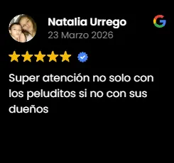 Img-Fans-de-Pelos-Review-GMB-2026-1