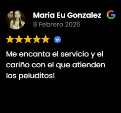 Img-Fans-de-Pelos-Review-GMB-2026-4