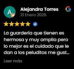 Img-Fans-de-Pelos-Review-GMB-2026-5